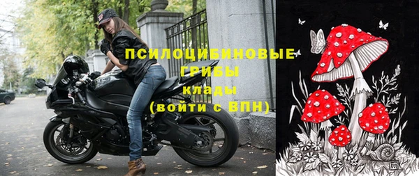 гидра Каменск-Шахтинский
