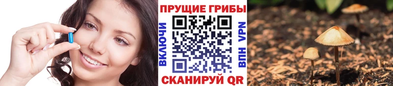 Галлюциногенные грибы Cubensis  Ковдор 